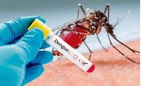 El dengue en la Argentina ya acumula más de 315 mil casos