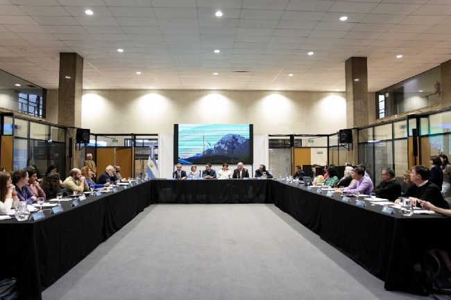 Santa Fe participó de la primera reunión de la Comisión de Bosques Nativos del COFEMA
