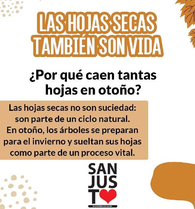 Del Gobierno de la ciudad de San Justo